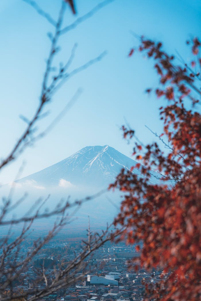 Mount Fuji framed by autumn leaves and mist, capturing a serene Japanese landscape.